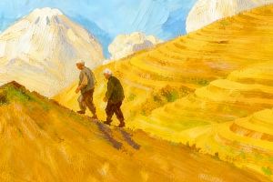 重阳节丨历经生命的四季，结出沉甸甸的